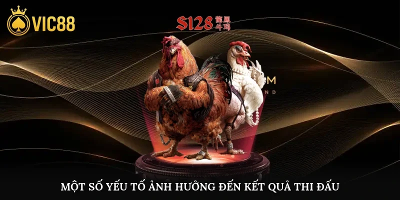 Một số yếu tố ảnh hưởng đến kết quả thi đấu